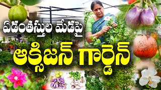 ఇంటికి కావాల్సిన అన్ని ఆహార పంటల గార్డెన్ || Oxygen terrace garden || Lakshmi Padmavati