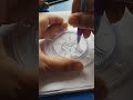 amazing spirograph 🥰 shorts spirograph art subscribe