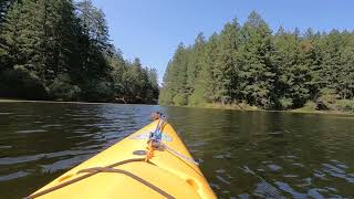 Upper Thetis Lake (Victoria, BC) Half-hidden corner of the lake, August 2024