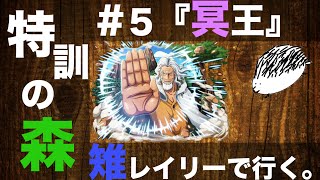 【特訓の森雉】冥王レイリーPTで攻略する!! ＃5【トレクル】