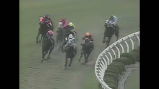 ダイタクヘリオス 1991年 第21回高松宮杯(GII) (優勝馬：ダイタクヘリオス) (実況：ラジオたんぱ)