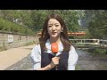 [날씨] 주말 맑고 초여름 더위…강한 자외선 주의 / 연합뉴스TV (YonhapnewsTV)