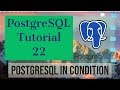 PostgreSQL Tutorial for Beginners 22 - PostgreSQL IN Condition