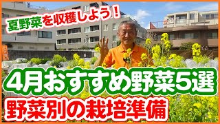 夏野菜シーズン到来！家庭菜園や農園栽培で4月植え付けオススメ野菜と野菜別の栽培準備のコツを徹底解説！【農園ライフ】