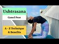 Learn How To Perform Ushtrasana (Camel Pose) With In-depth Knowledge of Technique And Benefits