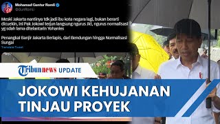 Momen Jokowi Hujan-hujanan Tinjau Proyek Normalisasi Sungai Ciliwung hingga Aktivis JIL Kritik Anies