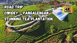 DRIVING THROUGH THE MOUNTAINS AND STUNNING TEA PLANTATION | ROADTRIP TO CIWIDEY AND PANGALENGAN