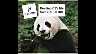 Reading CSV File from GitHub URL and Storing as pandas DataFrame