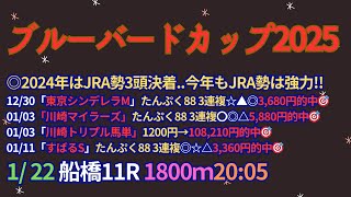 ブルーバードカップ2025予想【船橋競馬】全頭診断＋調教診断＋買い目