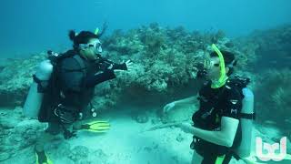 Underwater Marriage Proposal