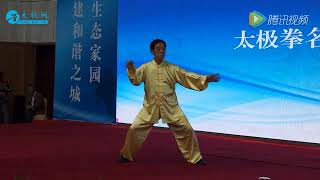 陳正雷 Chen Zhenglei 陳式太極拳 Chen-Style Taijiquan 欣賞