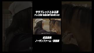 女性獣医師 #成富麻純 さんが競走馬の獣医師になった理由とは #shorts