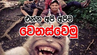 අපි අපිම රවට්ටගන්න එක නවත්තමු..medical|health|deweni_inima|paata kurullo|news