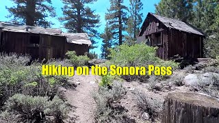 Hiking in the Sonora Pass Hwy 108 area