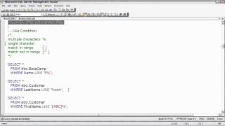 Sql Server Filtering Data with the Where Clause