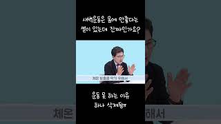 새벽 운동은 건강에 안 좋다?! #심장 #새벽운동