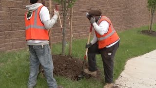 Reentry Program Helps Find Jobs, Housing for Prisoners After Release