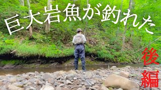 【渓流釣り】尺超え？大岩魚が釣れた【後編】