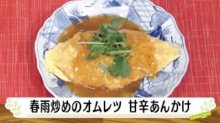 ナマなキッチン「春雨炒めのオムレツ　甘辛あんかけ」