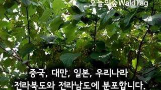 2014이나무 오늘의숲WaldTag