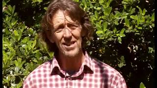 Understanding Weeds and Cover Crops - Permaculture Soils 7