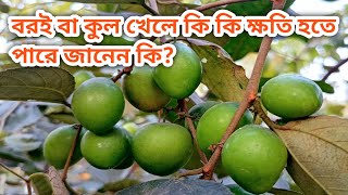 বরই বা কুল খাওয়ার অপকারিতা বা ক্ষতিকর দিক(Disadvantages or harmful aspects of eating Jujube or kul)