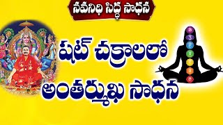 నవనిధి సిద్ధ సాధన  | షట్ చక్రాలలో అంతర్ముఖ సాధన| Sri Rajarajeshwarananda Swamy   #chakrahealing