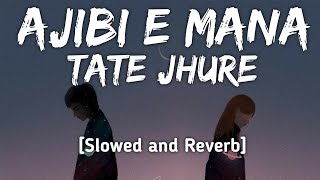 Ajibi E Mana Tate Jhure [Slowed and Reverb] Humne Sagar & Antara | Lofi Song | Odia New Lofi Song