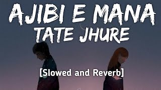 Ajibi E Mana Tate Jhure [Slowed and Reverb] Humne Sagar \u0026 Antara | Lofi Song | Odia New Lofi Song