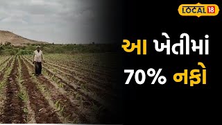 Amreli News |  આ ખેતીમાં 70% નફો, ઉત્પાદન એટલું કે ગોડાઉન ભરાઇ જાય | #local18