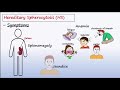 hereditary spherocytosis hs pathophysiology