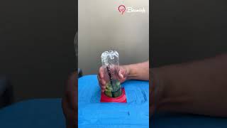 Easy Diy Solutions To Fix Improve Transform Anything Easy Diy Solution Transformation