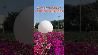 2024古亭河濱花海空拍(3/5日拍攝)