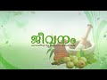 ചെന്നിക്കുത്ത്‌ കൊടിഞ്ഞി ആയുർവേദ ചികിത്സ migraine ayurvedic treatment migraine home remedies