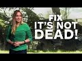 Sony's Last Guardian is Still Alive & No New 3DS For U.S. - IGN Daily Fix