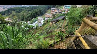 Urban Underground: Agroecological Functions of Soils in the City