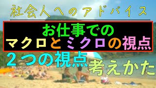 社会人へのアドバイス：＜再投稿＞お仕事ではマクロとミクロの視点が必要です！！２つの視点の考えかたを解説します？！