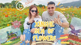 Sea of Flowers in Xinshe - Taichung, Taiwan 🇹🇼