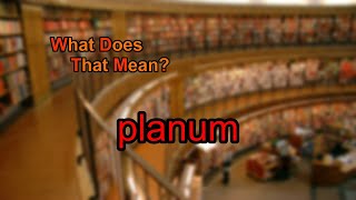 What does planum mean?