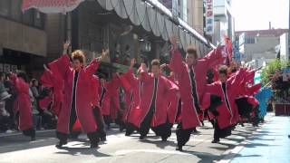 2013　ＹＯＳＡＫＯＩさんさ　祭姫會