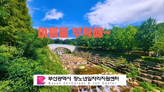 부산화명수목원[신중년 N잡 유튜버 이정숙]