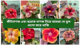 বিদেশি জবা এবং কীটনাশক আর ছত্রাক নাশক নিয়ে গুরুত্বপূর্ণ আলোচনা