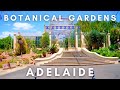 Adelaide, Botanical Gardens -  Australia | 4K 60fps Walking Tour