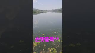 #전층낚시 #중층낚시 #노지낚시