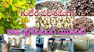 కుటీర పరిశ్రమగా కాజు ప్రోసెసింగ్ యూనిట్ || Cashew Nut Processing