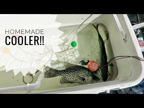 $30 Do It Yourself COOLER LIVEWELL MODIFICATION!! $30 Do It Yourself COOLER LIVEWELL MODIFICATION!!