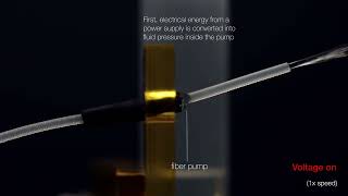 Electrofluidic Fiber Muscles on Science Robotics