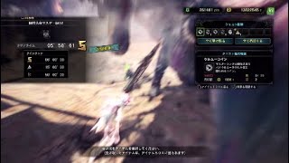 MHW IB 闘技大会マスター級02 Sランククリア