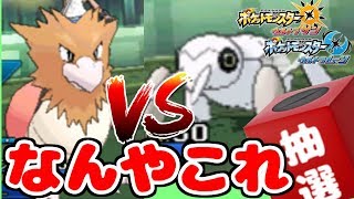 807匹の中から抽選でひいたポケモンでパーティを組んでみた #4【ポケモンUSUM