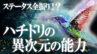 空中静止に全振り進化！？ハチドリの異次元のホバリング！